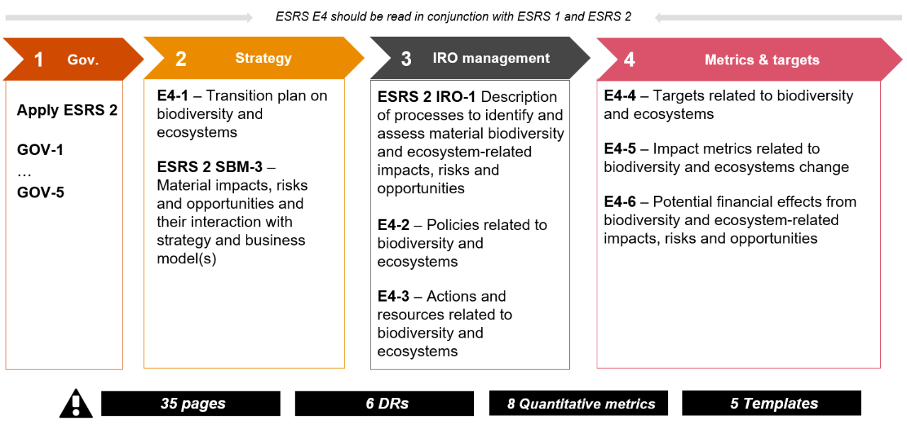 Glimpse into draft ESRS E4 Biodiversity and ecosystems​​ 